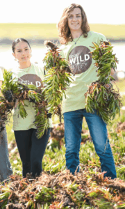 Parks Foundation interns holding up invasive ice plant